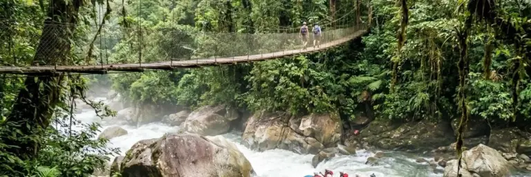Bosque de Pico Bonito