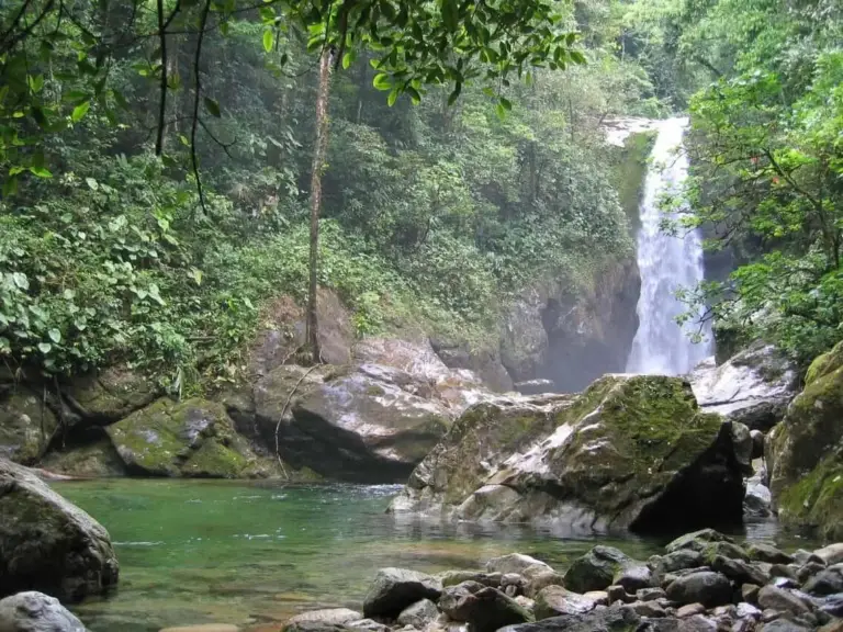 Waterfall in Pico Bonito National Park