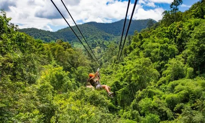 Mayan Jungle VIP Tour