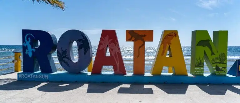 Island Tour (2 hrs)
