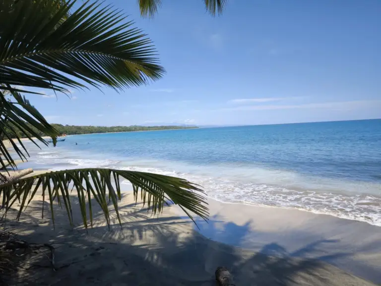 Island / Beach Combo