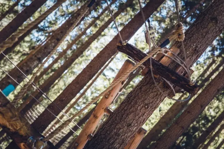 Extreme Canopy